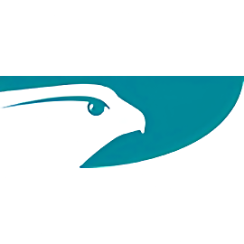 Falcon Properties