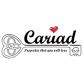 Cariad Property