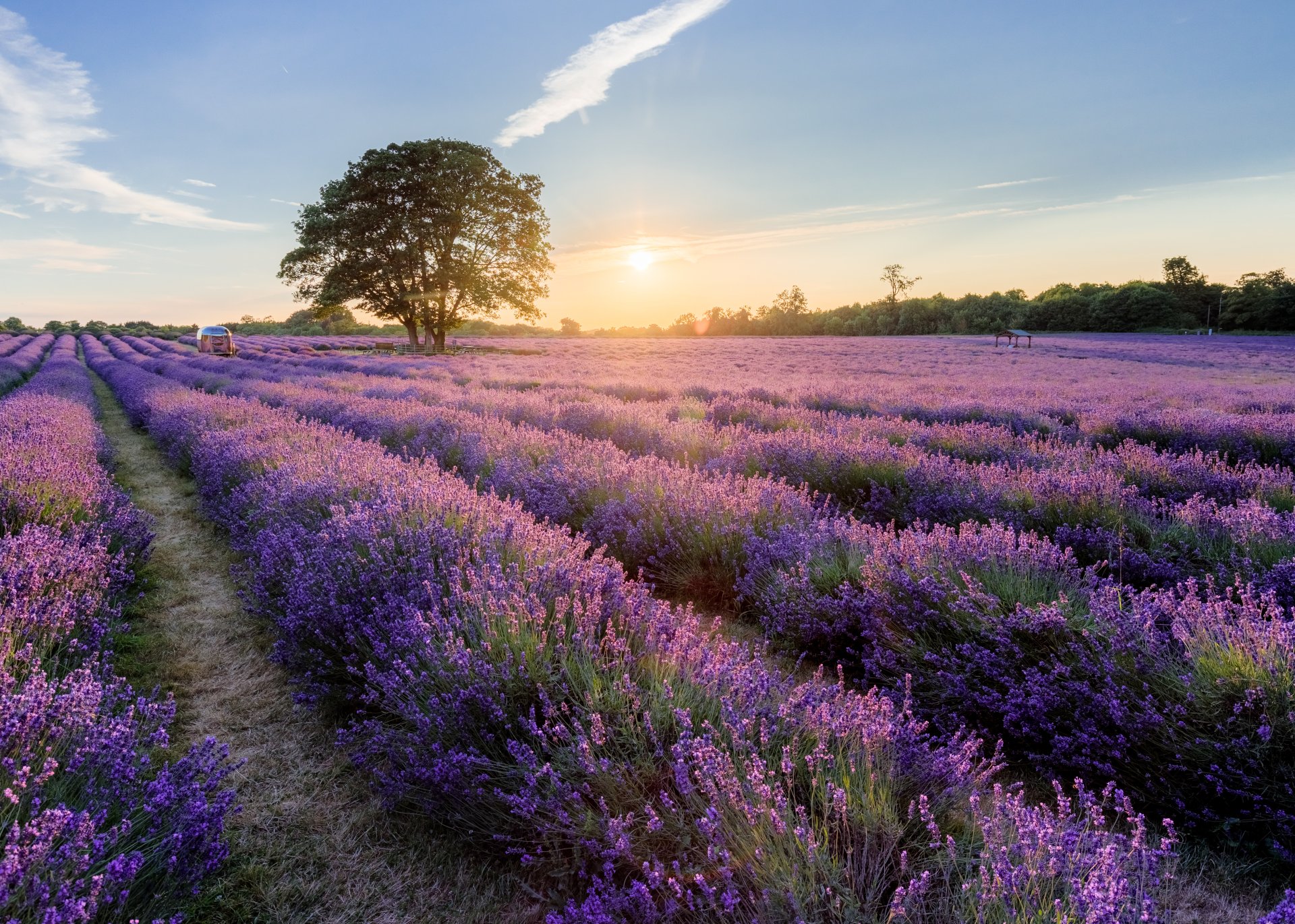 Reigate and Banstead, Surrey